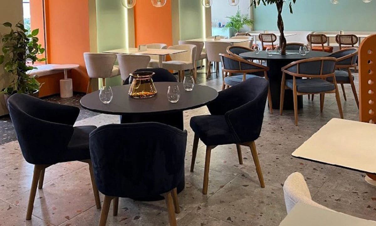 Sleek and modern dining chairs by Yavorina at Ishfish - yavorina.com.ua