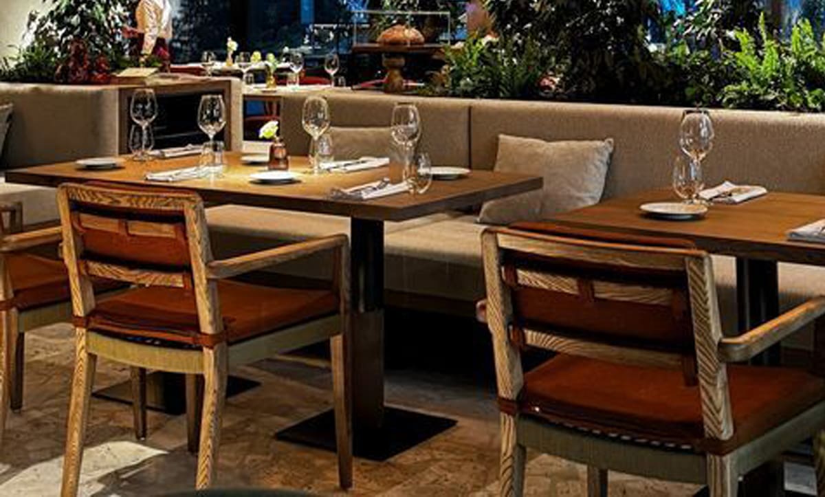 Stylish dining chairs designed by Yavorina for Margherita - yavorina.com.ua